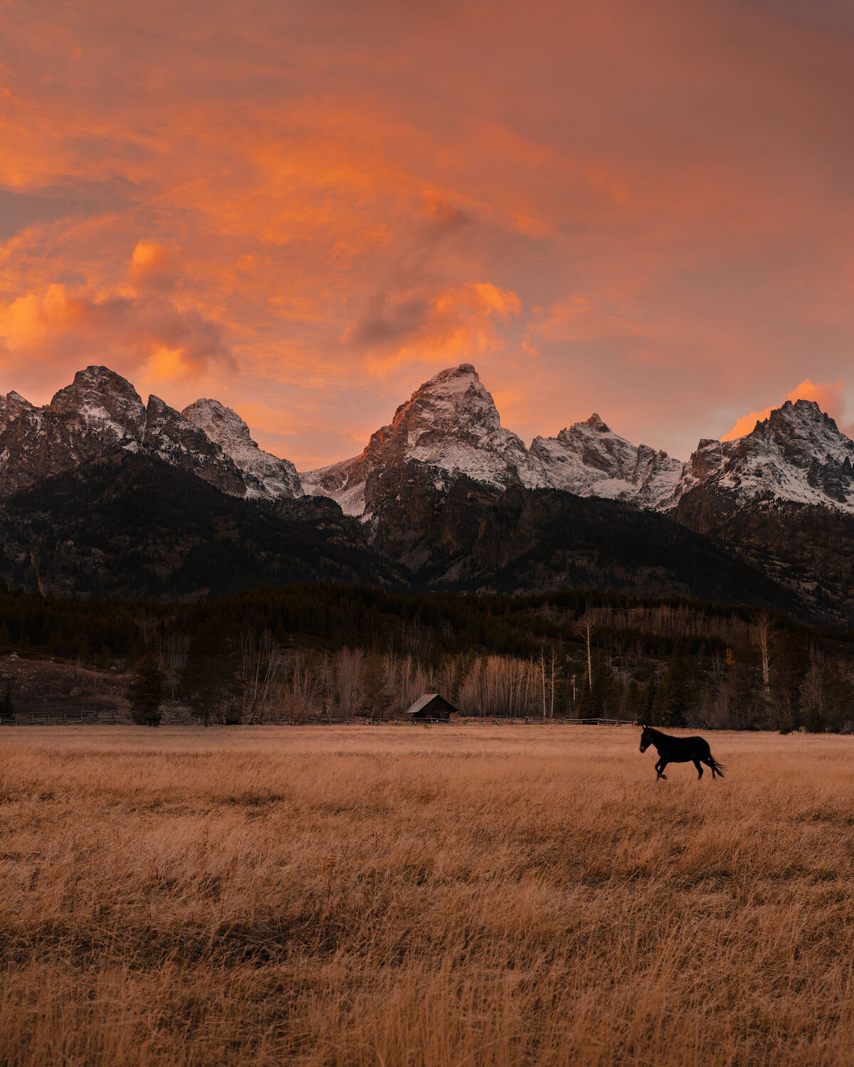 Wyoming-8