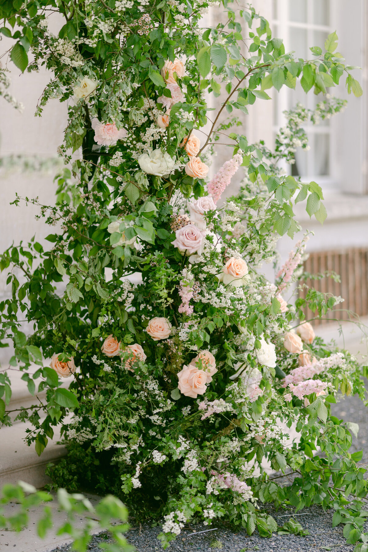 will-valeria-des-monts-7467