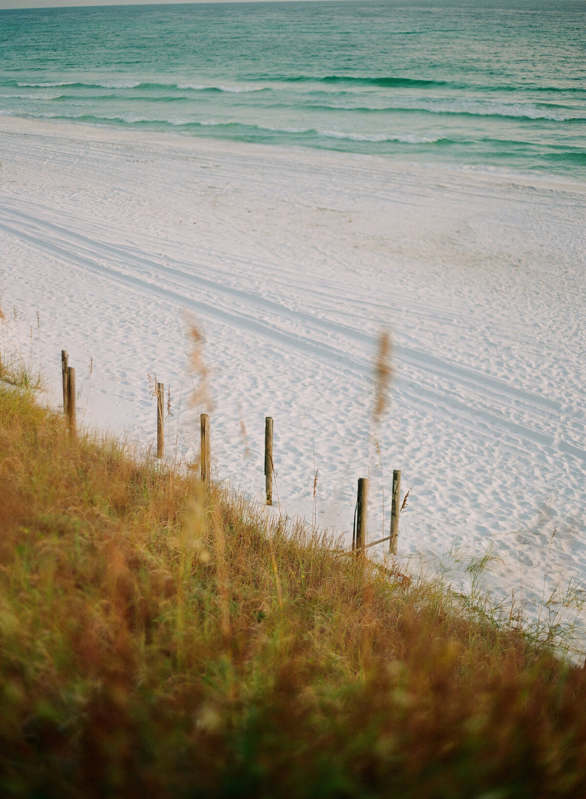 MonicaandWesley_BrideandGroom-163