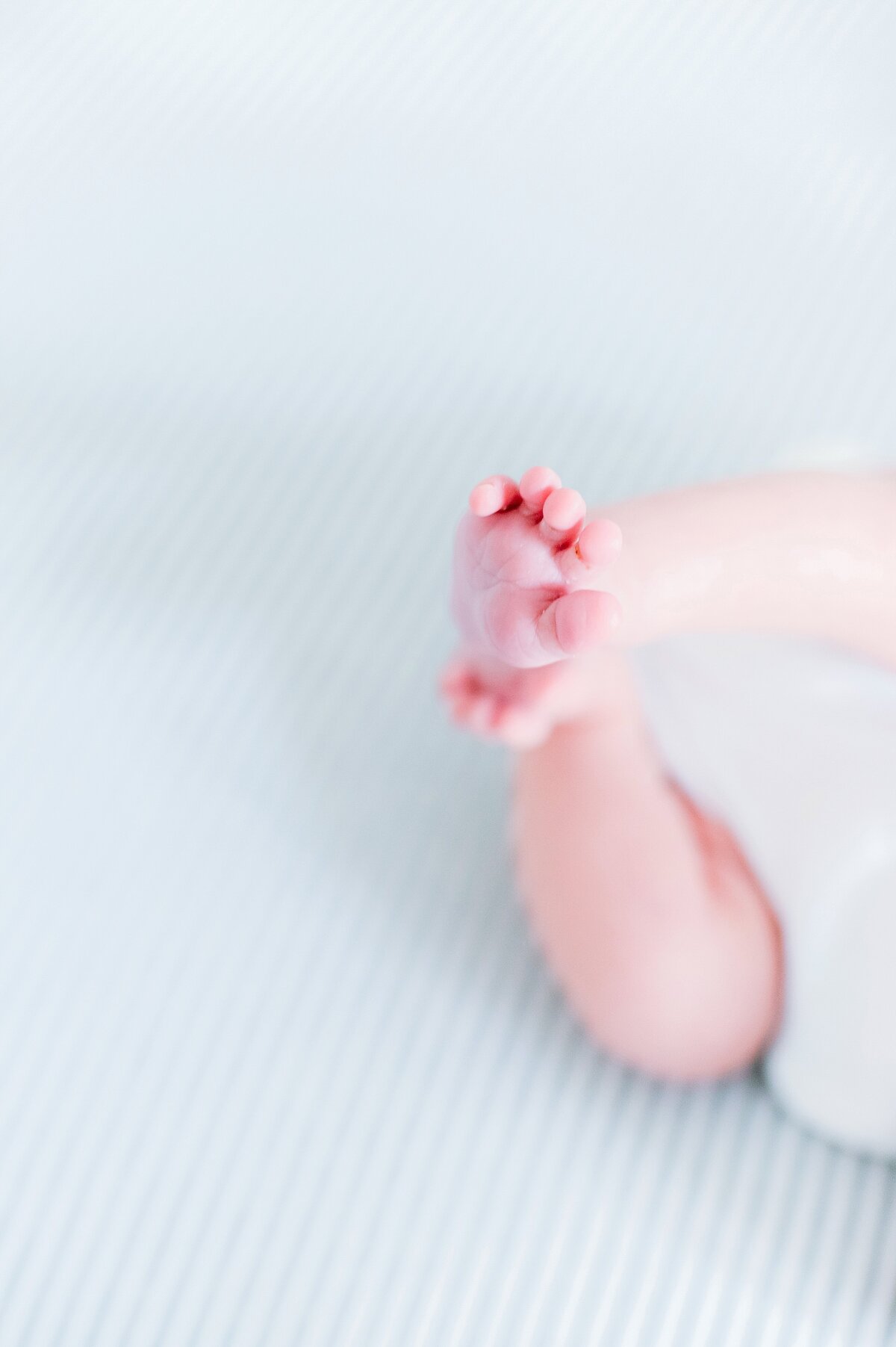 legacy-01-maternity-tristate-new-jersey-family-newborn-maternity-photographer_1764