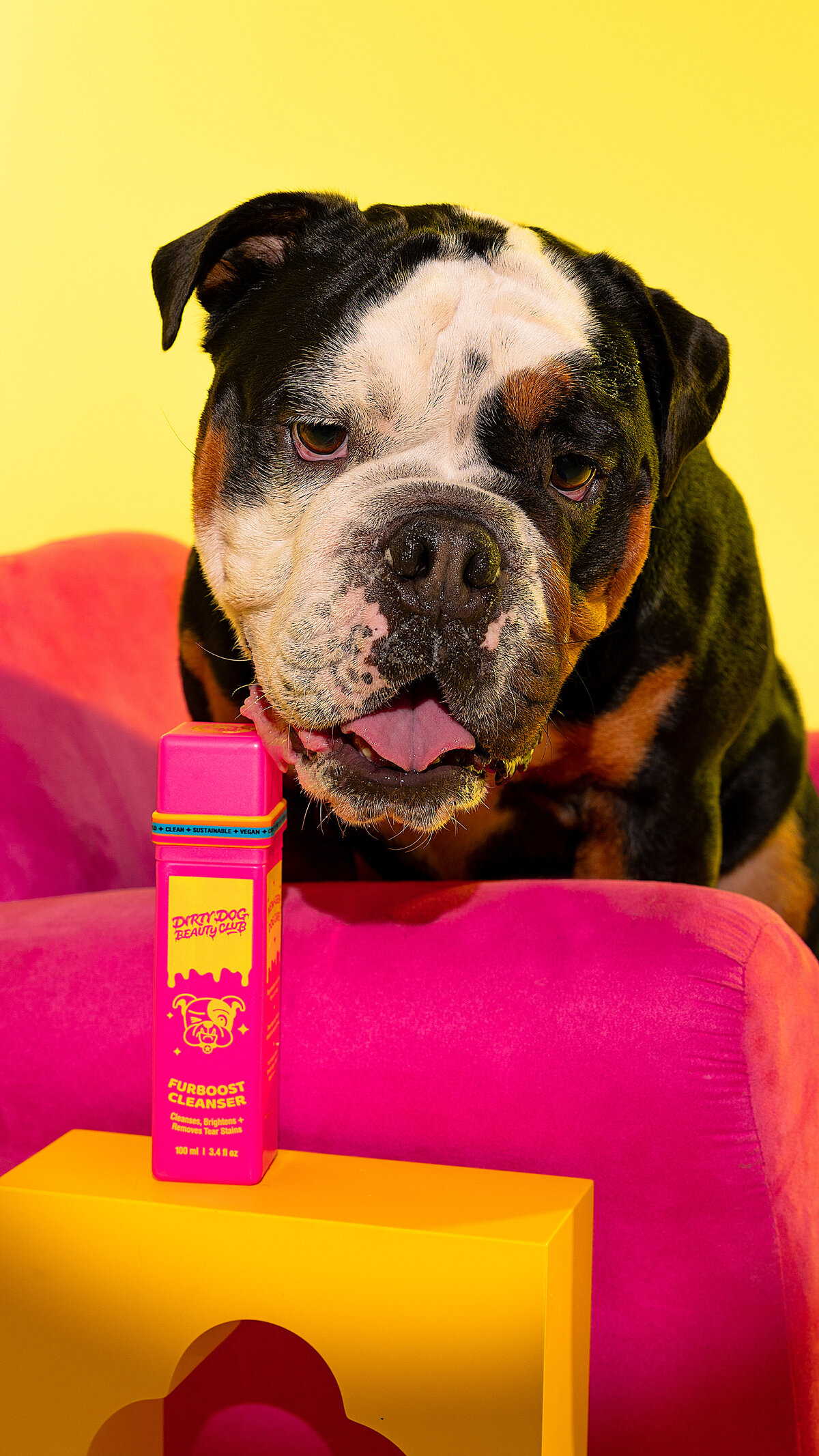 ddbcdogphotos_-11