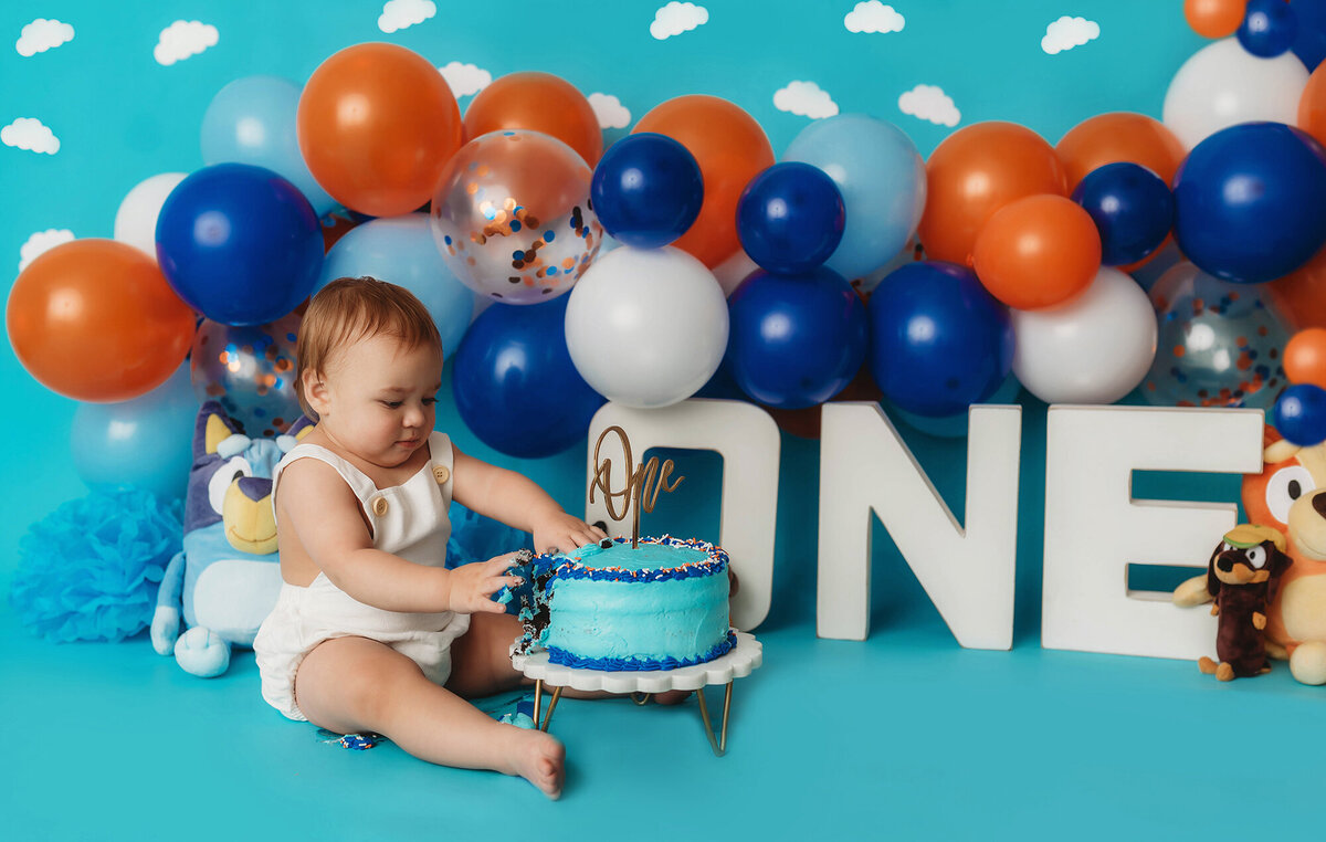 Toddler explores cake during First Birthday, Cake Smash Photos in Asheville, NC..