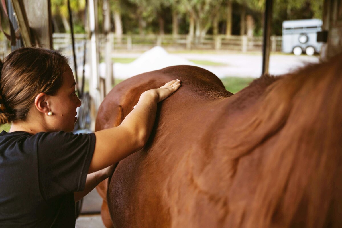 horsecare provider photography