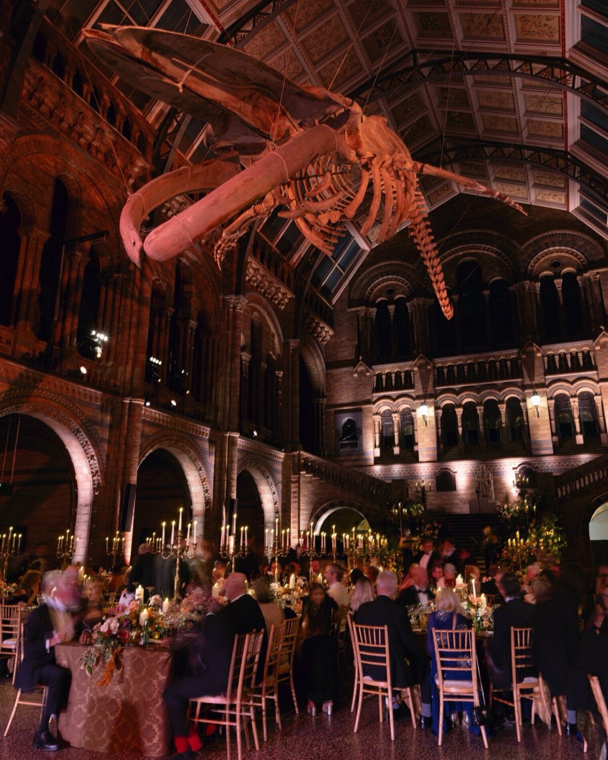 natural-history-museum-london-wedding-44