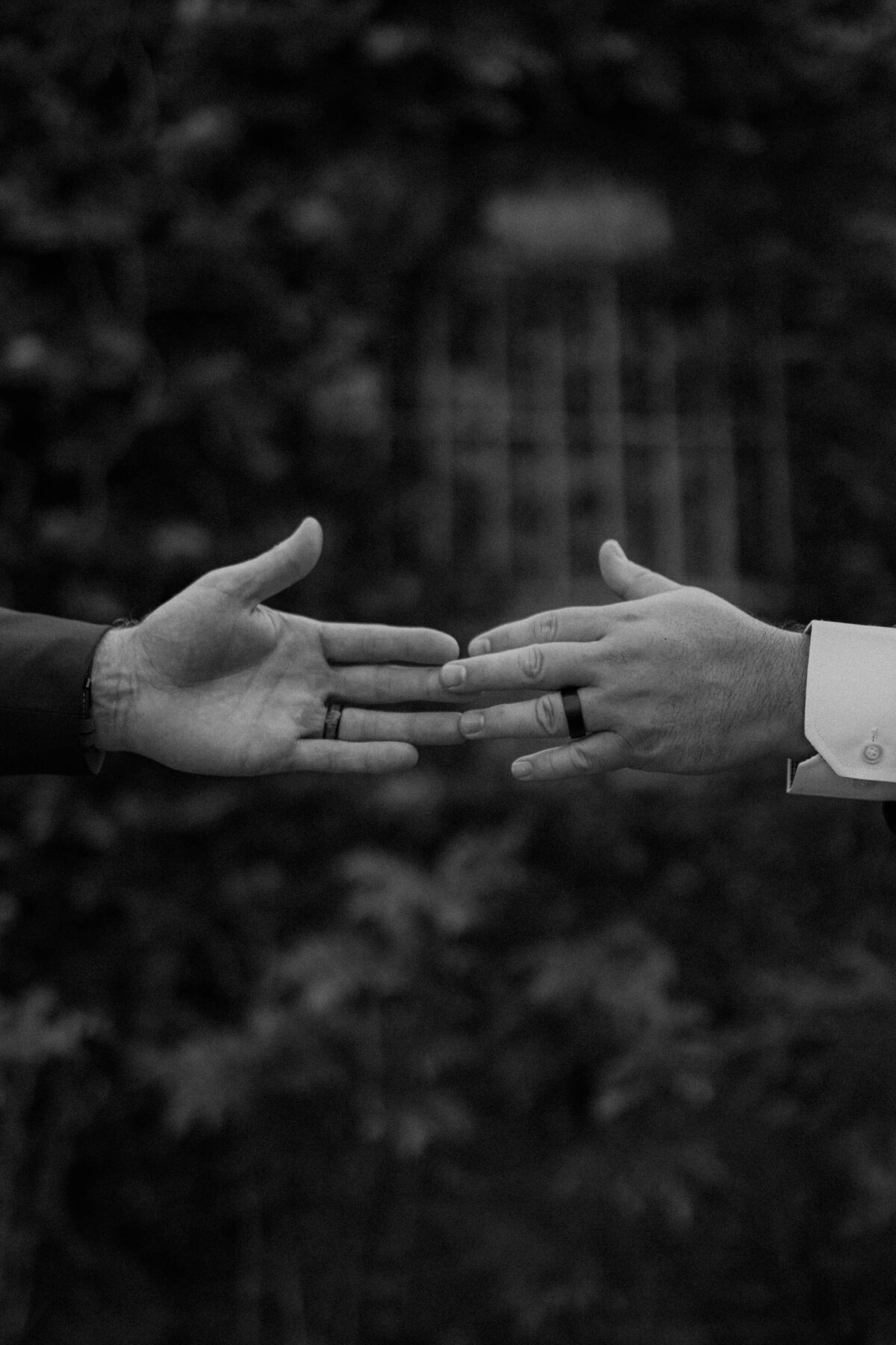 Weddings(7)