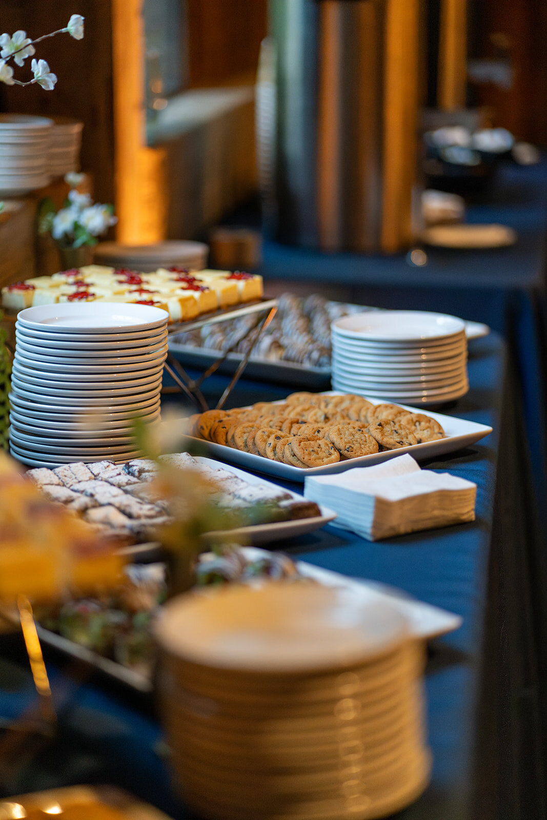 Asher-Wedding_AJV (749)_websize