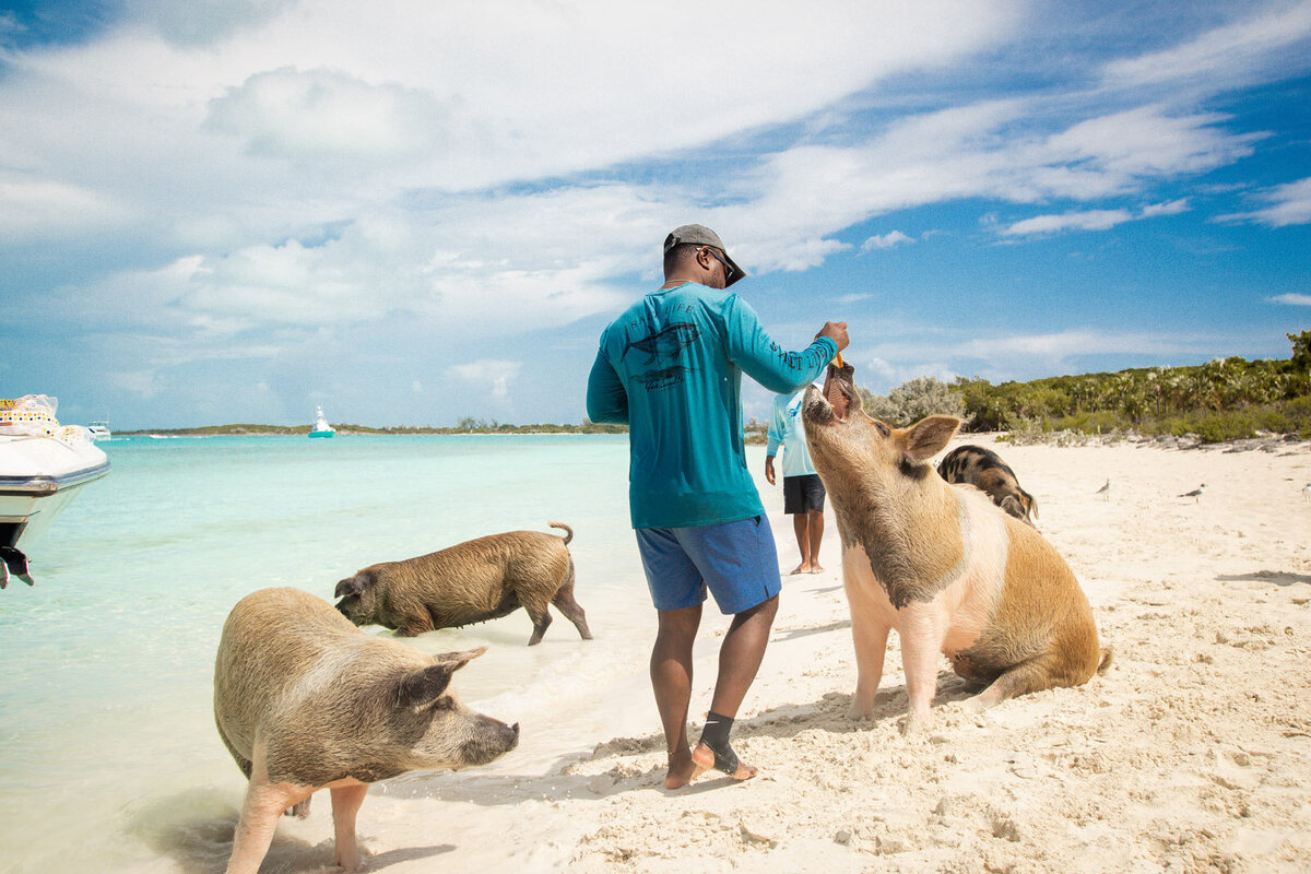 Aqua-Shores-Exuma-172