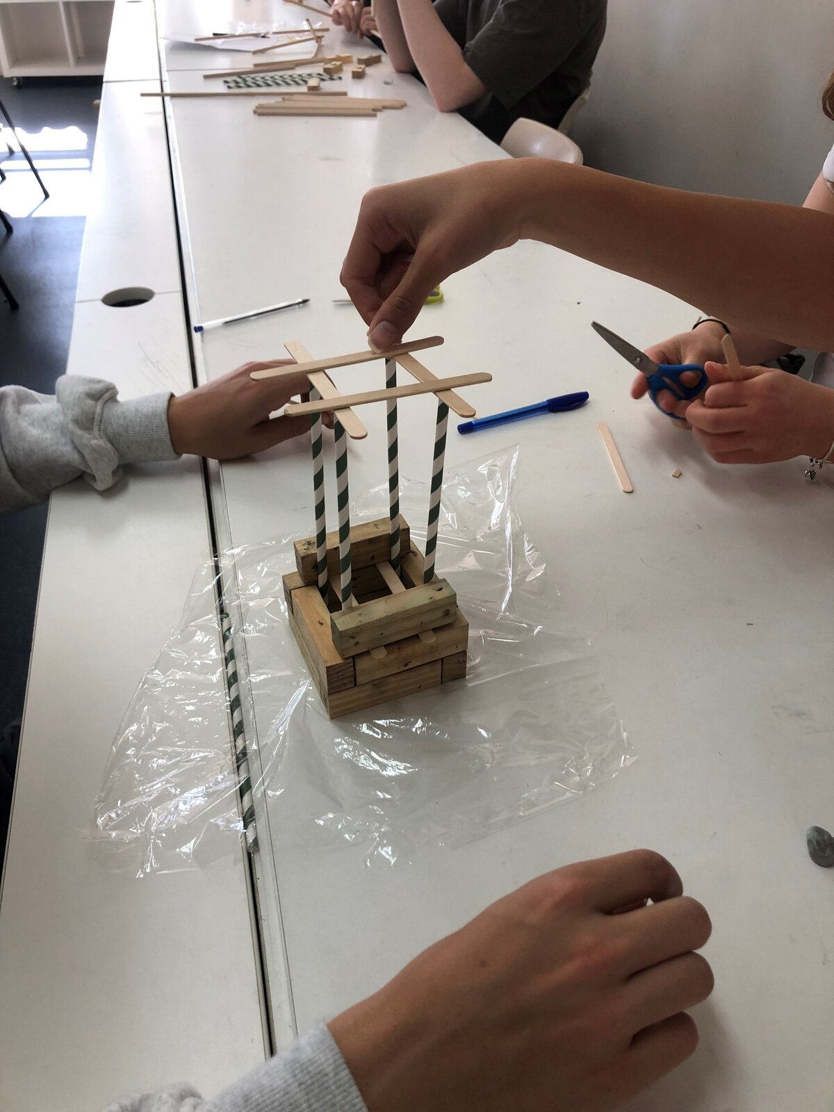 stem6