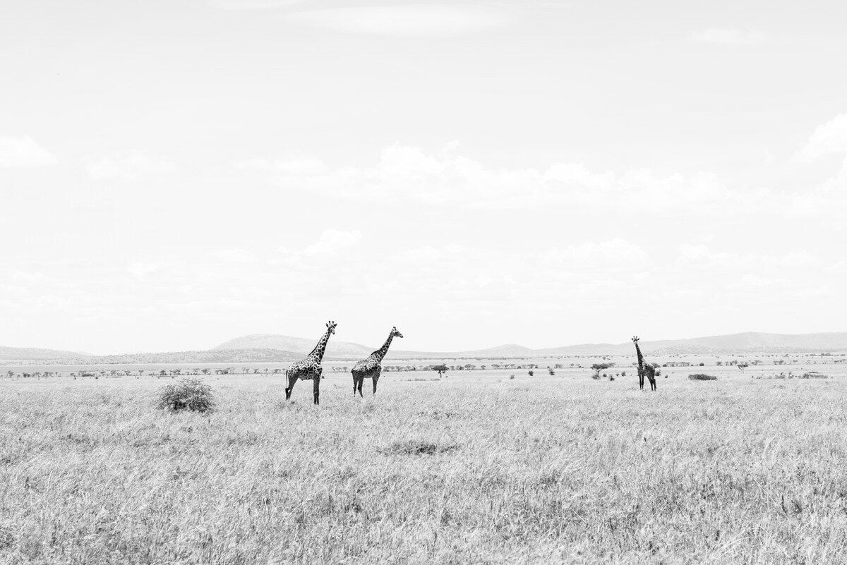 leila-brewster-photography-tanzania-0511