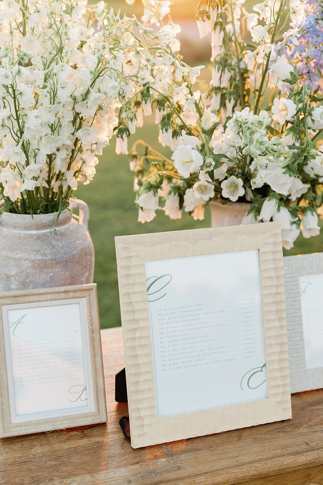 Copy of Medaya & Carlton wedding-113