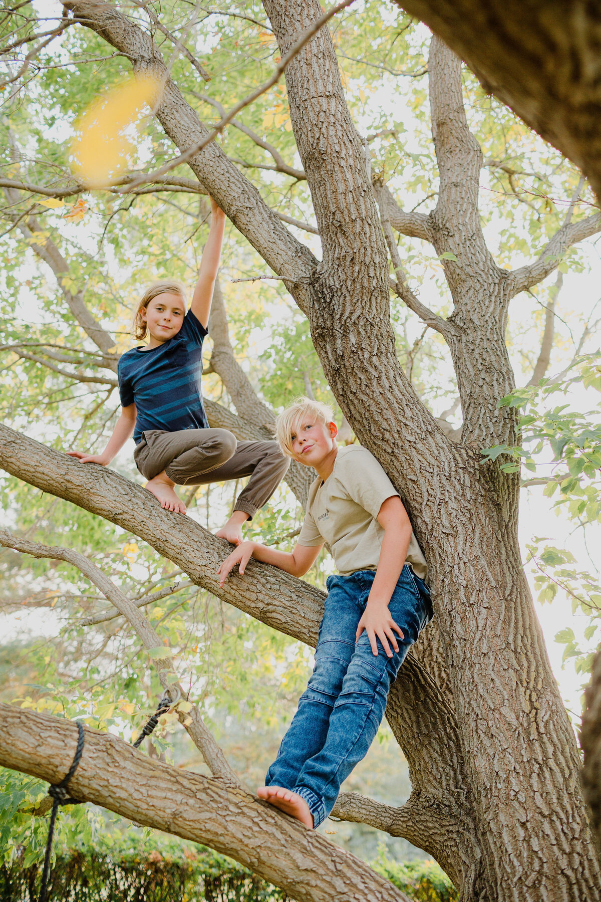 Climbing trees barefoot and wild