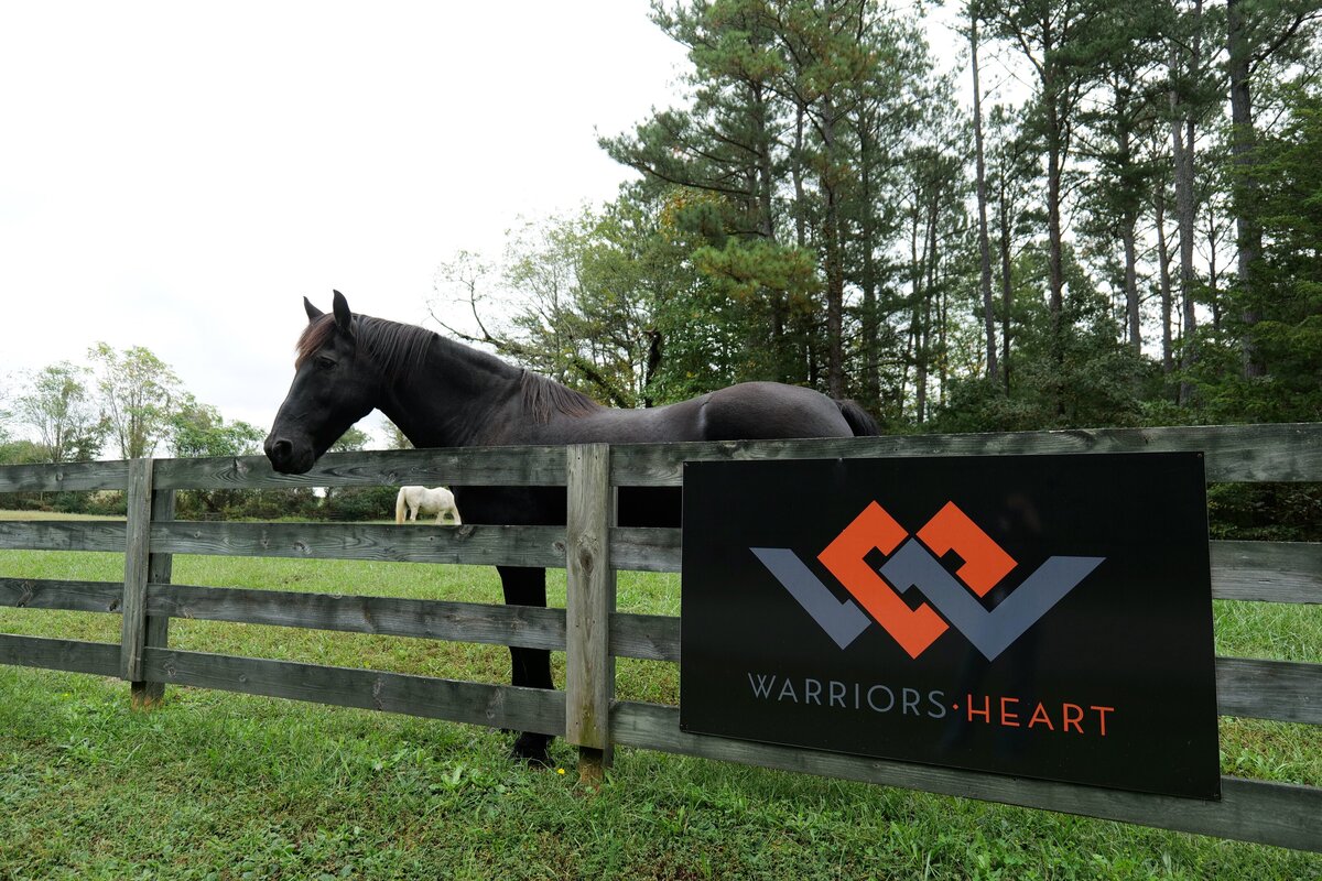 Warriors Heart Virginia. Horse Lionel