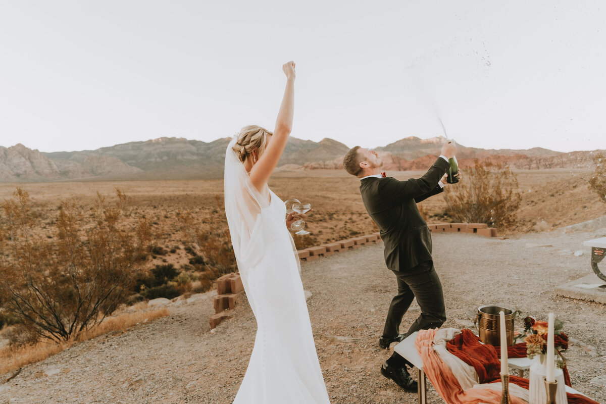 destination micro wedding photographer181