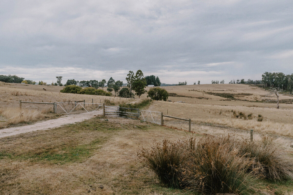 glendale-estate-tasmania-wedding-web-3