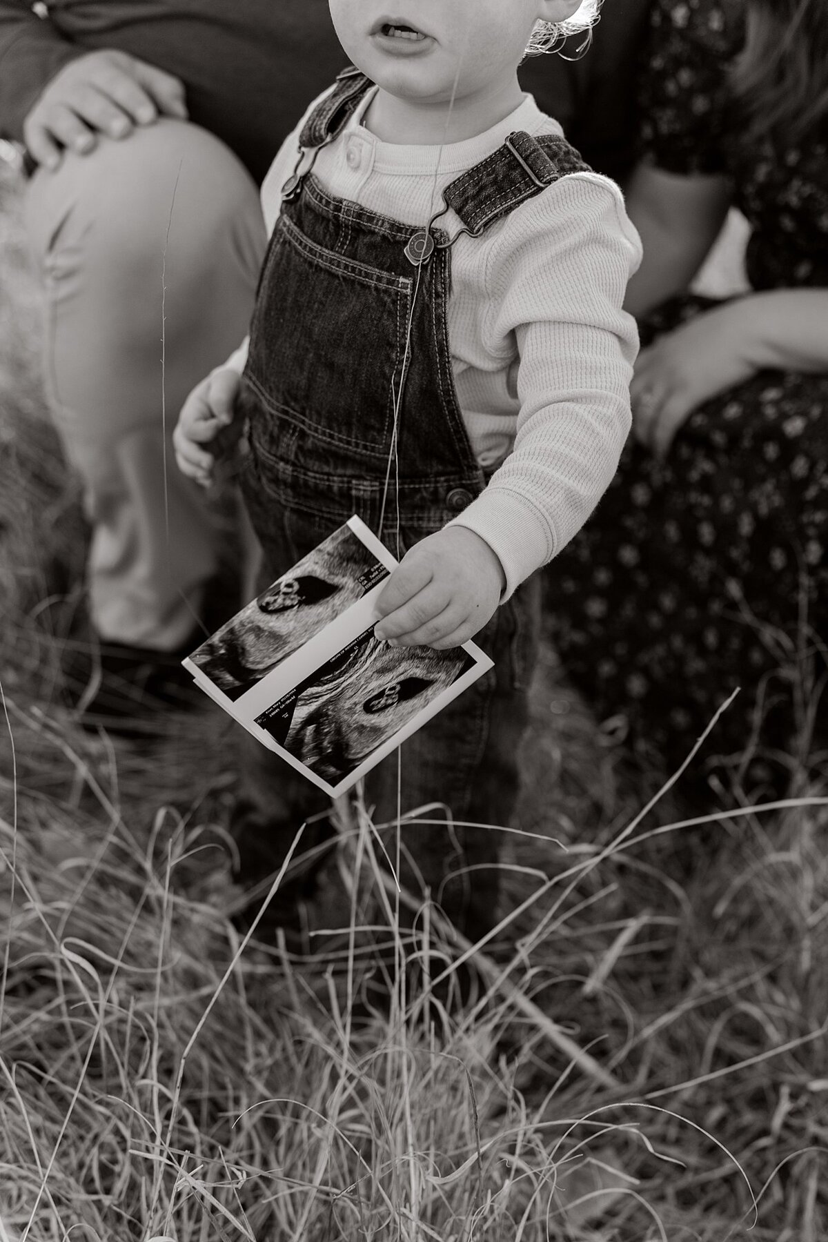 indianapolis-carmel-family-fall-mini-sessions_0014-1