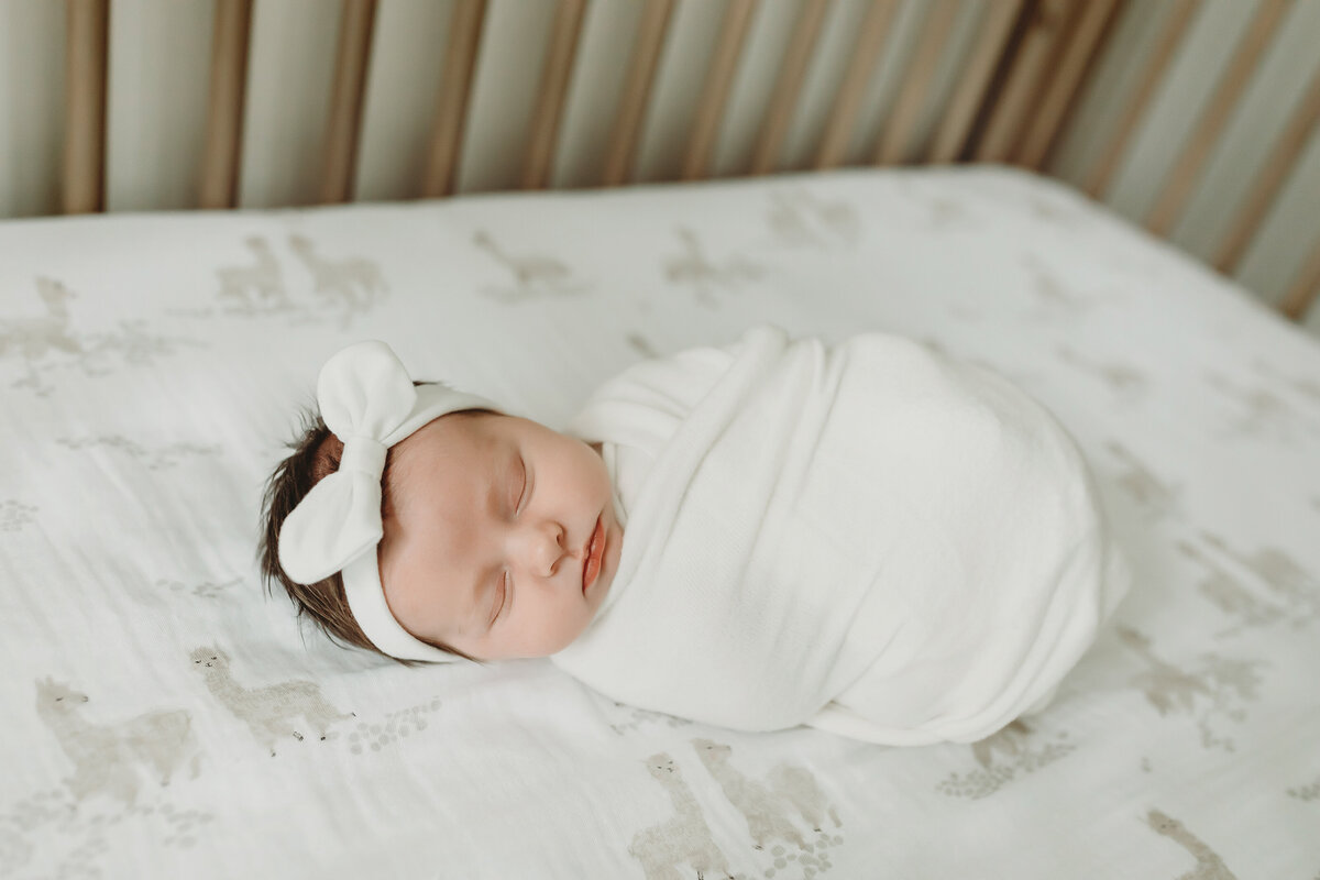 Baby Harper - Sweet Connolly Photography082