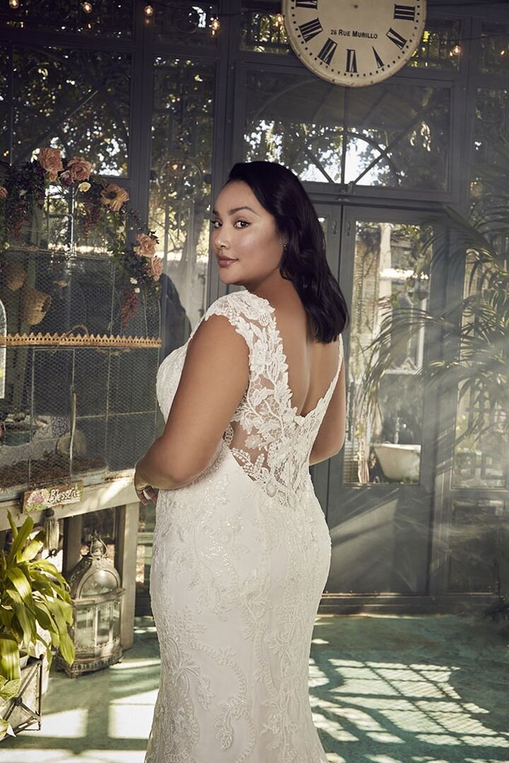 Designer Wedding Dress for Plus Size