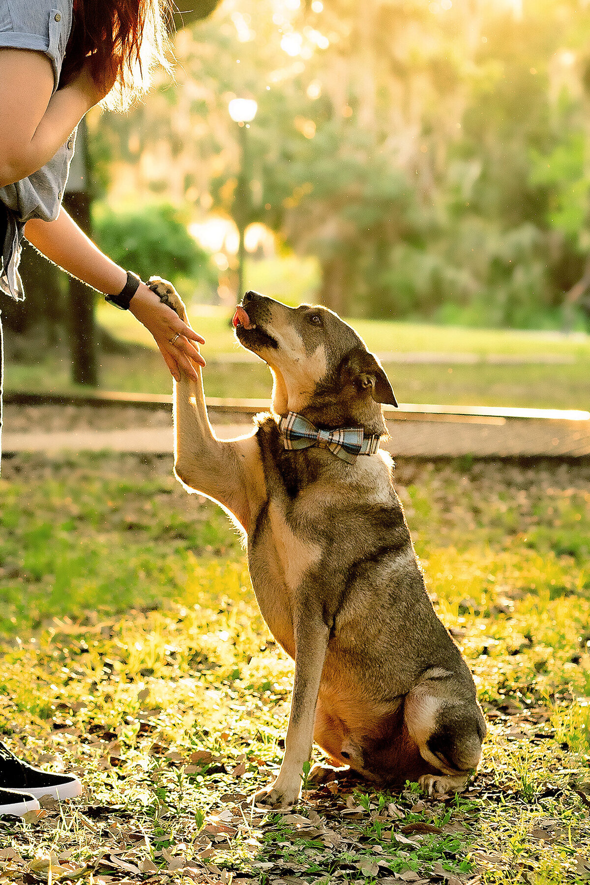 New Orleans Pet Photographer 42