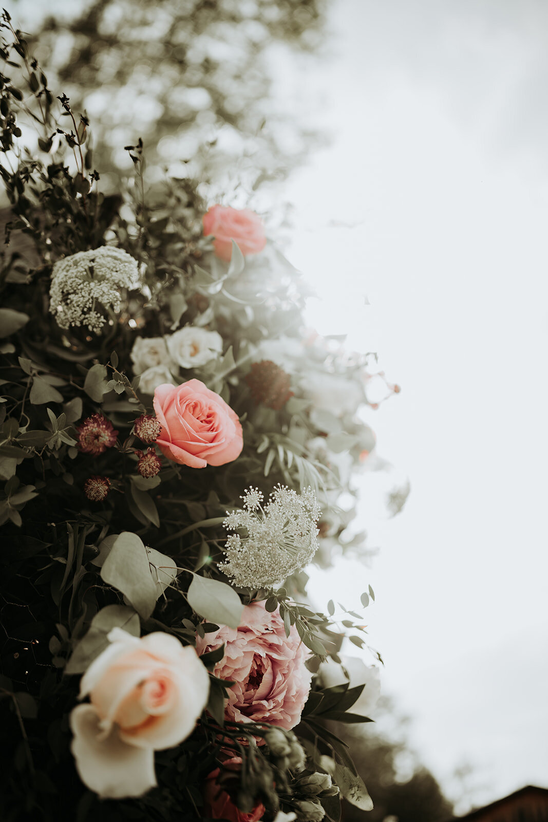 ZettelPhotography-5894