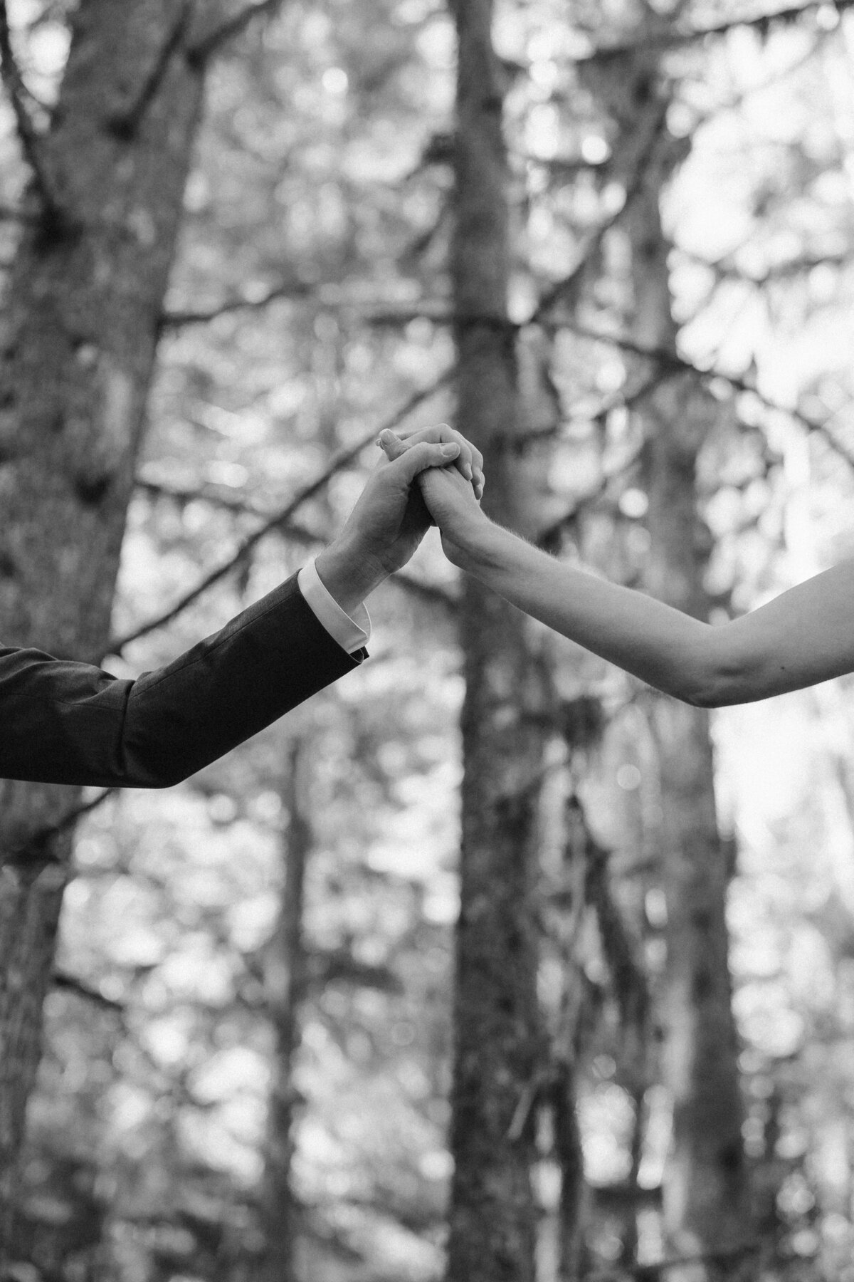 Couple holding hands in a forest