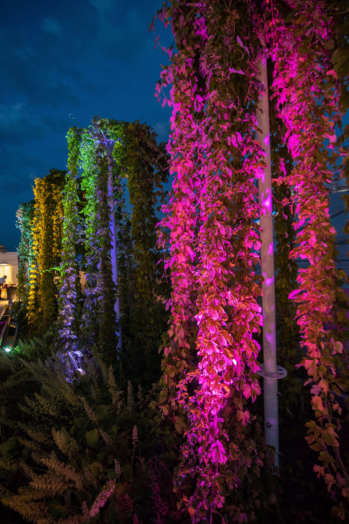 0137_KF4_0274riverlife