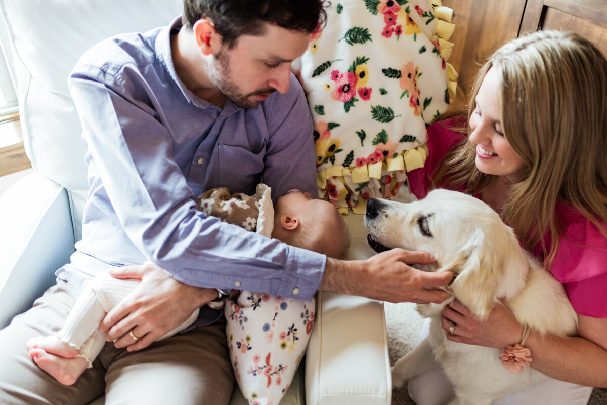 newborn dog baby photography at home
