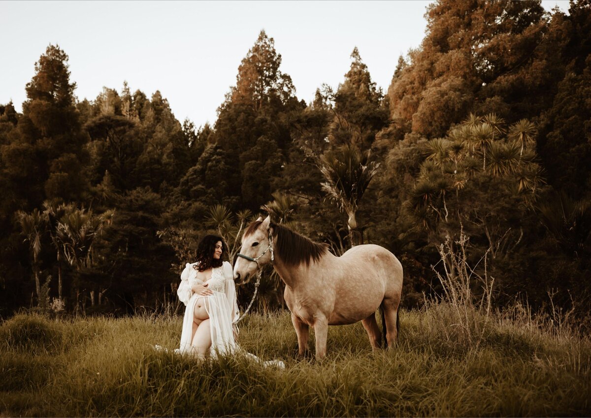 farm with horses