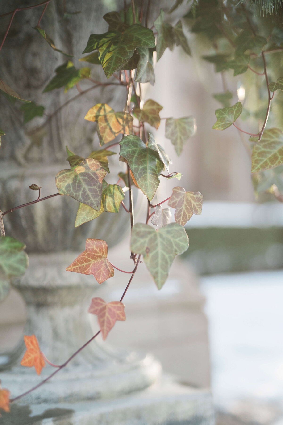 1569 Graydon Hall Manor British Vogue Editorial Toronto Wedding Lisa Vigliotta Photography