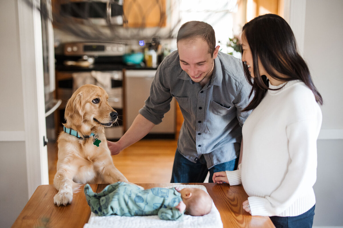 candid-natural-boston-newborn-family-photographer-zev-fisher-023