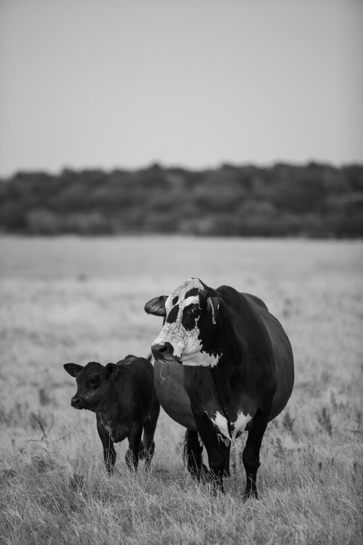 TheLocalPhotos_edited-11