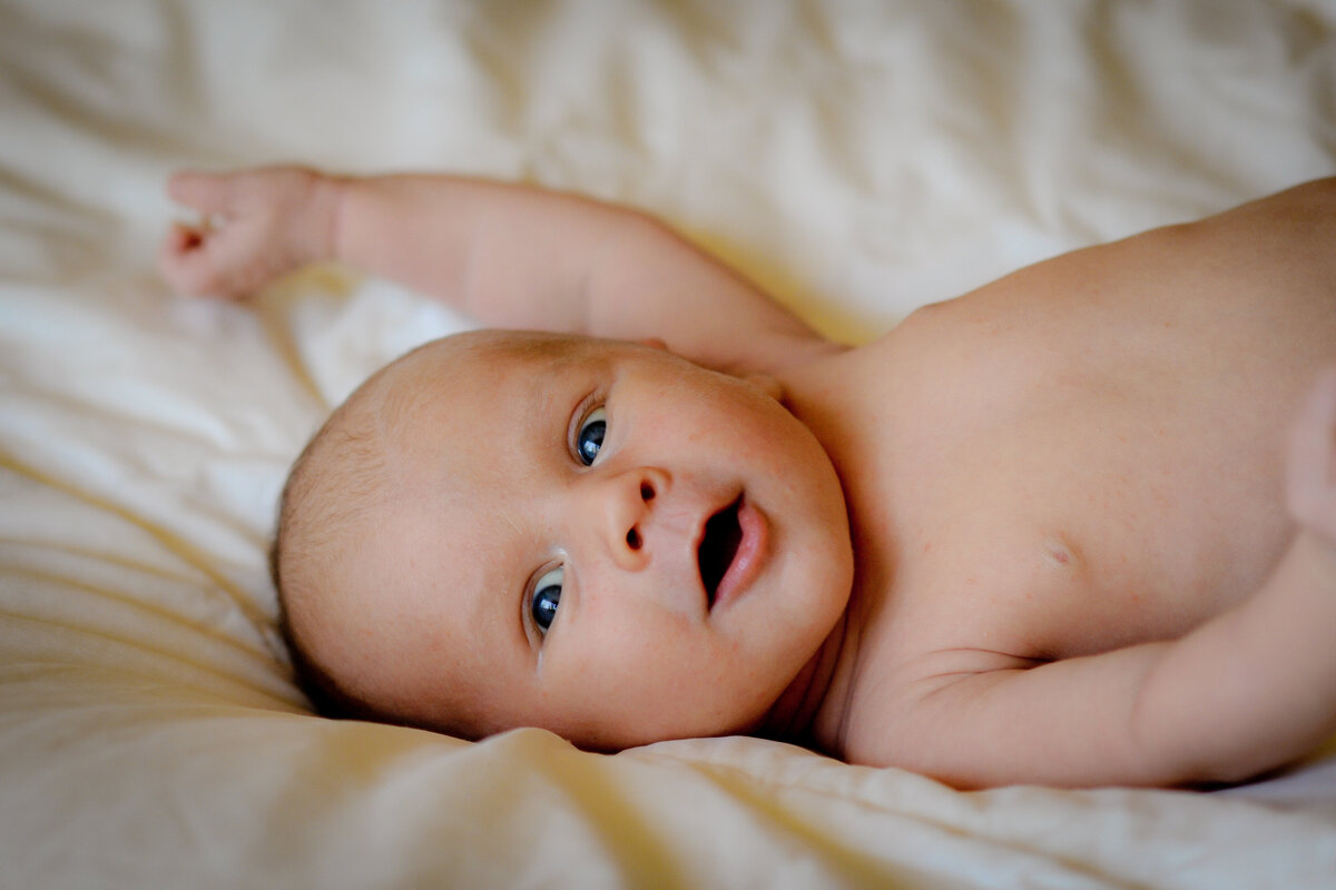 Babies - 42