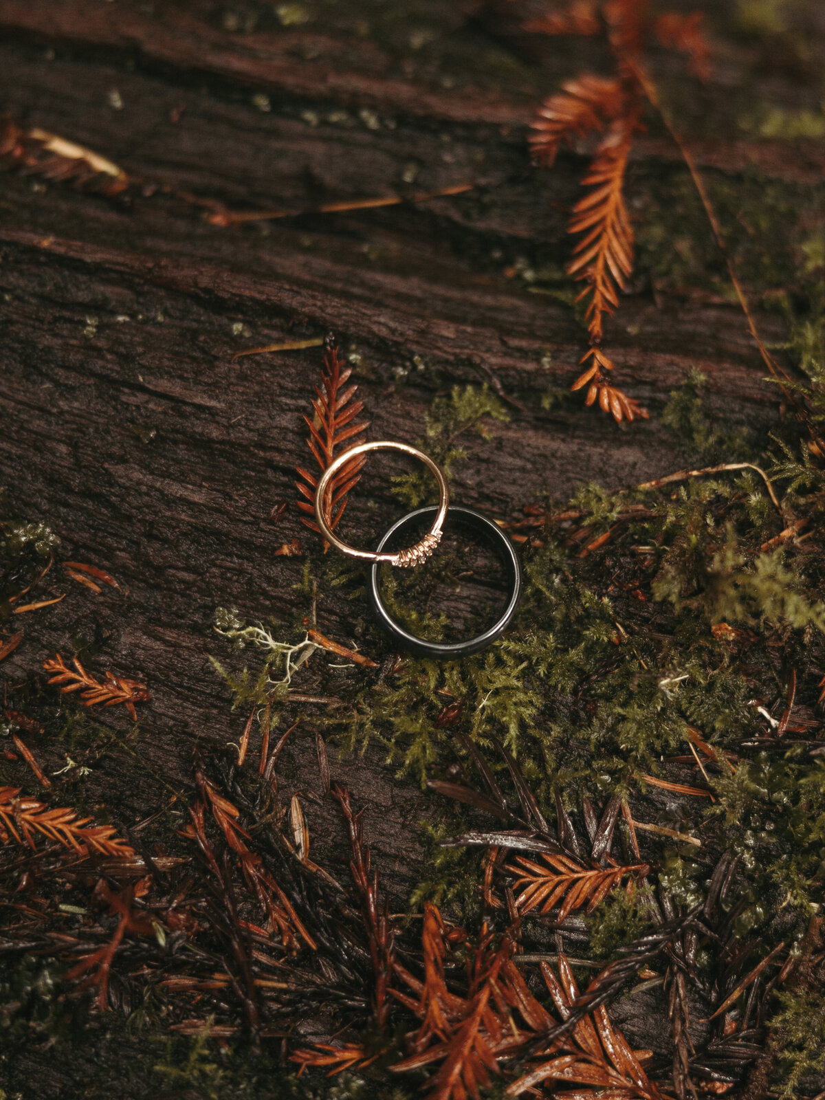 beckyzachbrookingsoregonelopement45