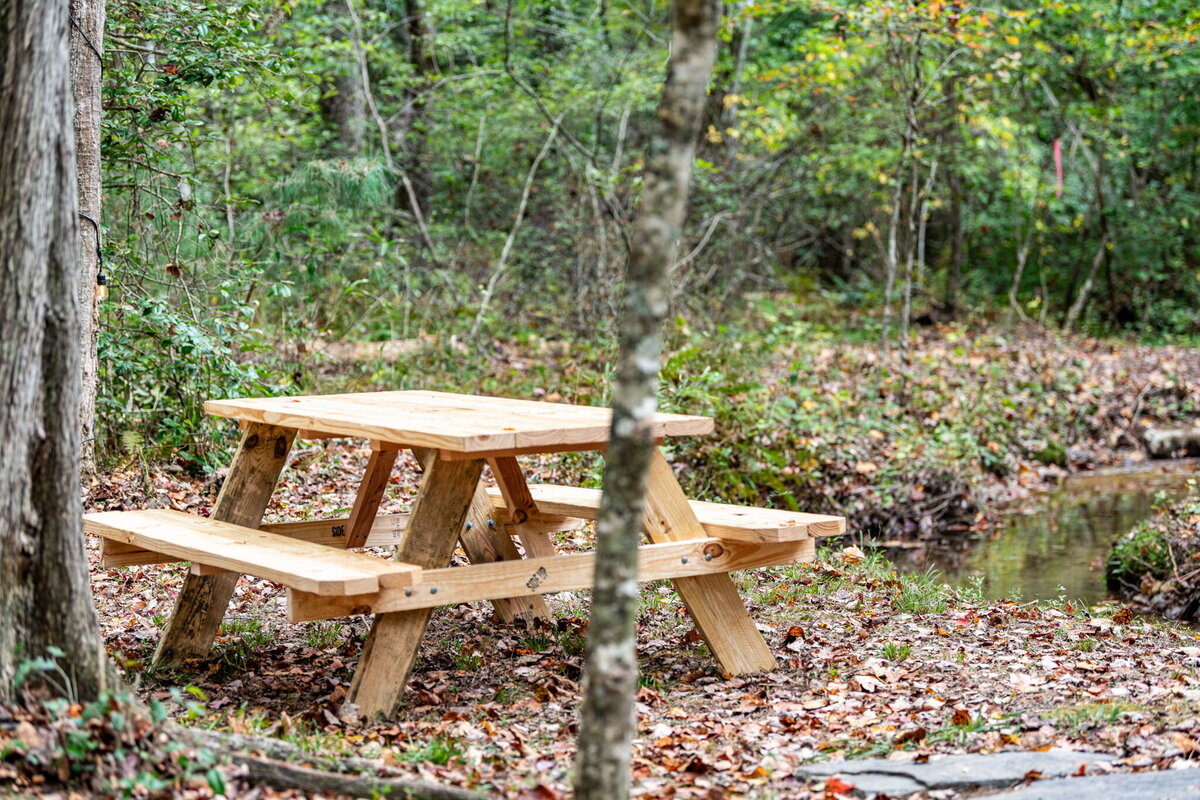 43Shady-Grove-Cabin-Blue-Ridge-GA_7045_Picnic table