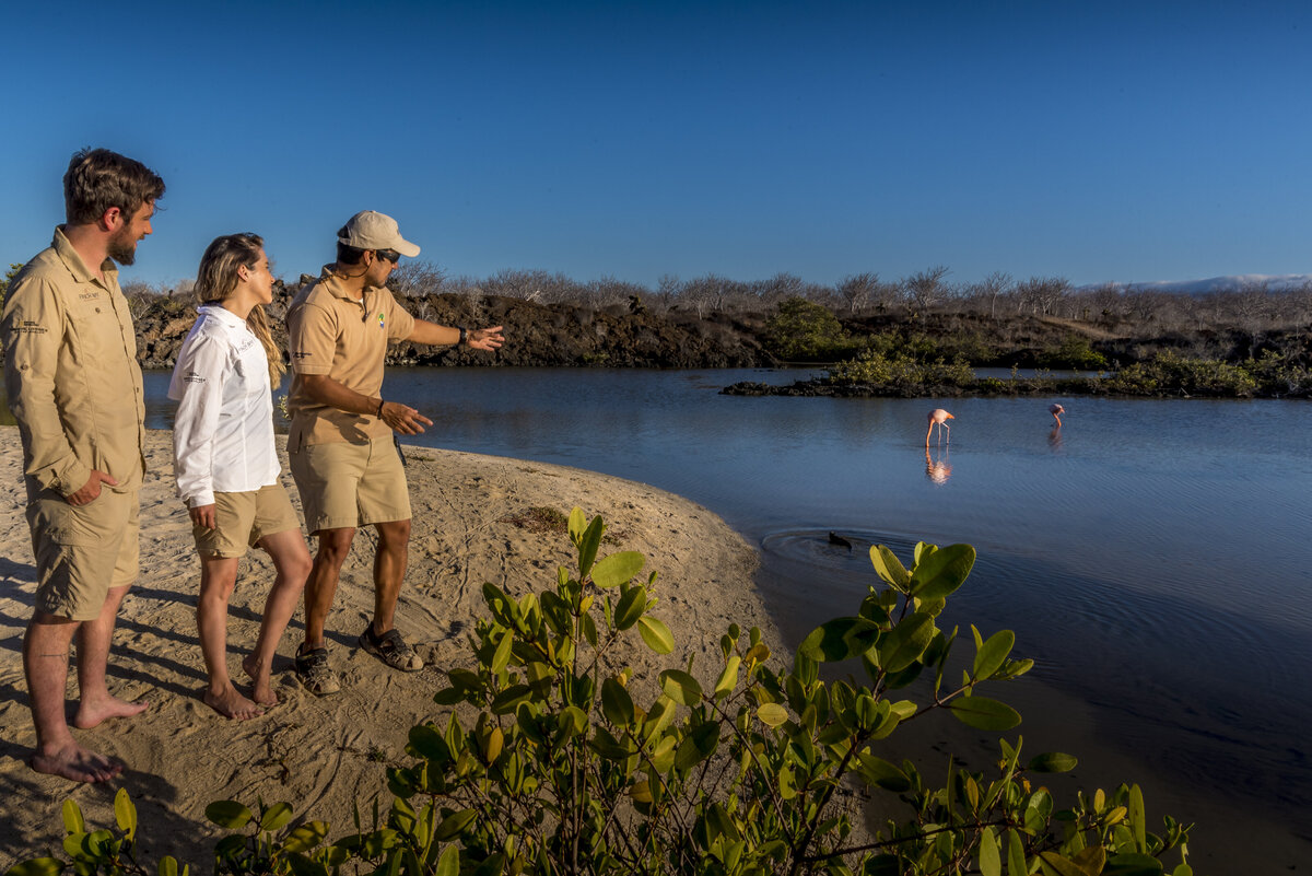 Waterstone - Metropolitan Touring- Ecuador - Luxury Destination Management Services - Flamingo-Galapagos-Experience-Las-Bachas-Santa-Cruz-group