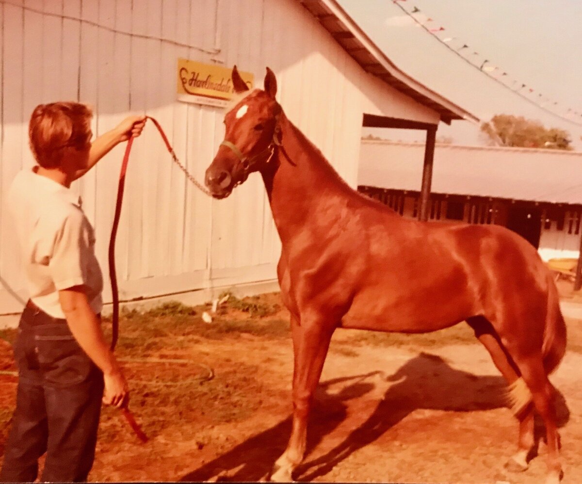 4g Dad and Colt
