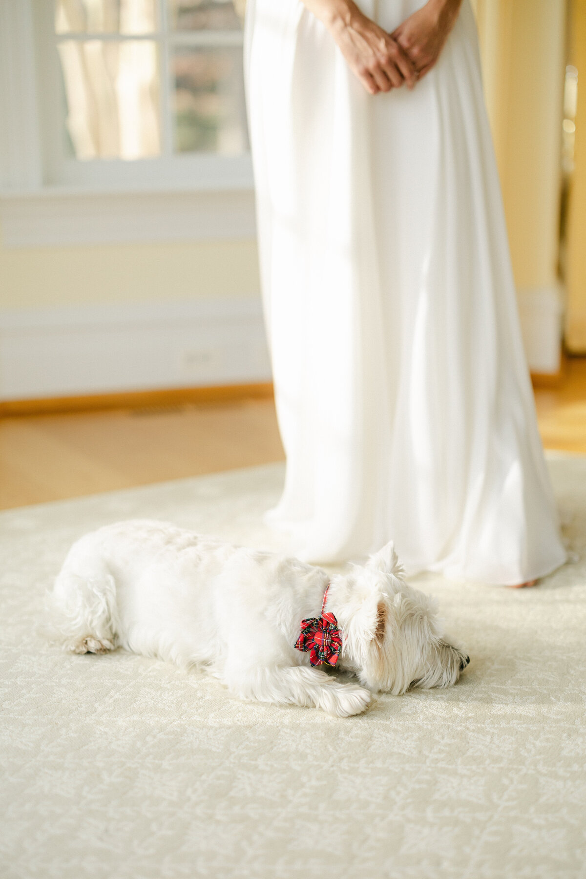 Sara + Evangelos Details + Getting Ready-158
