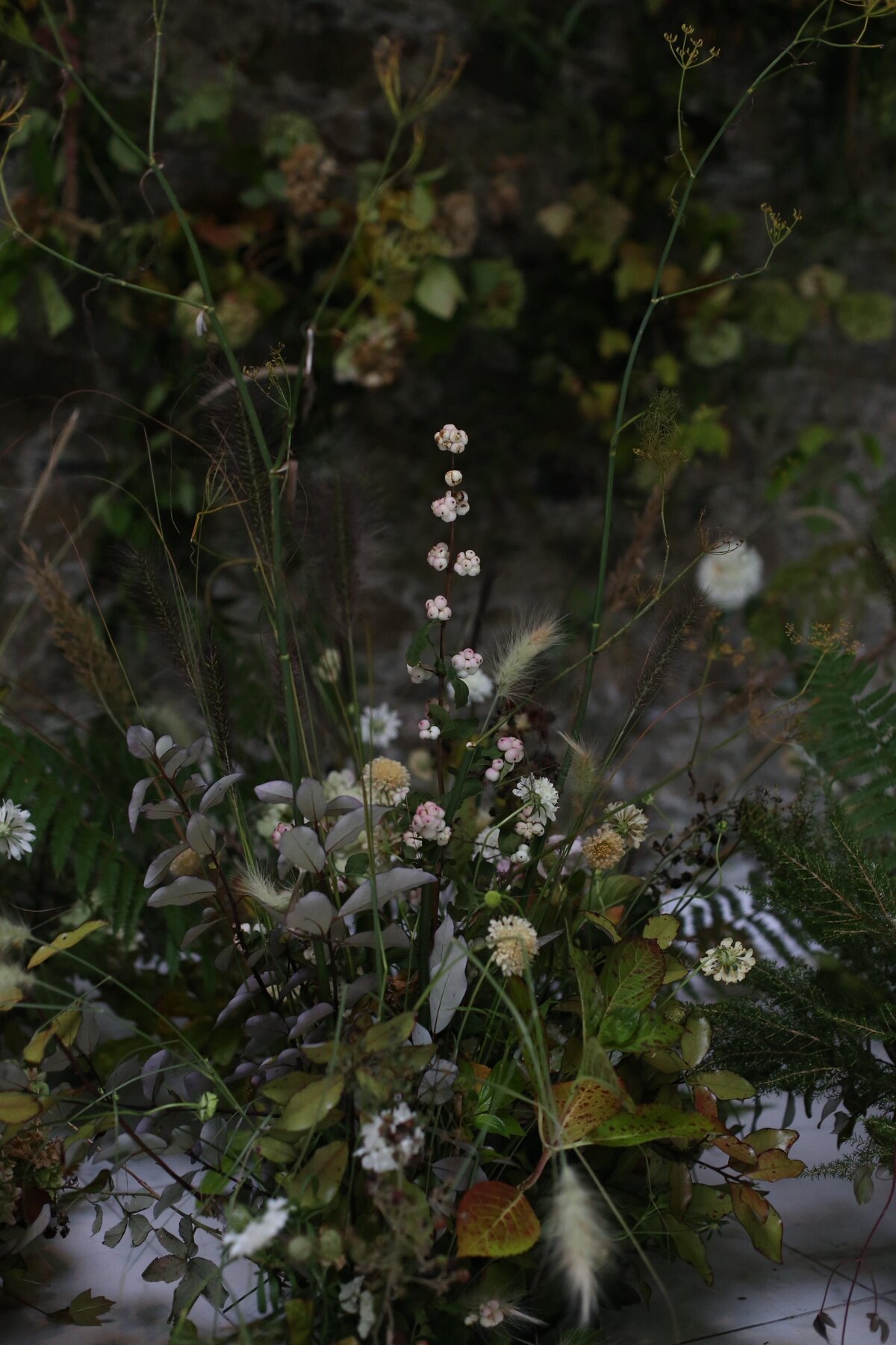 01055641-C7D7-4491-9819-2300D4FFB5D1