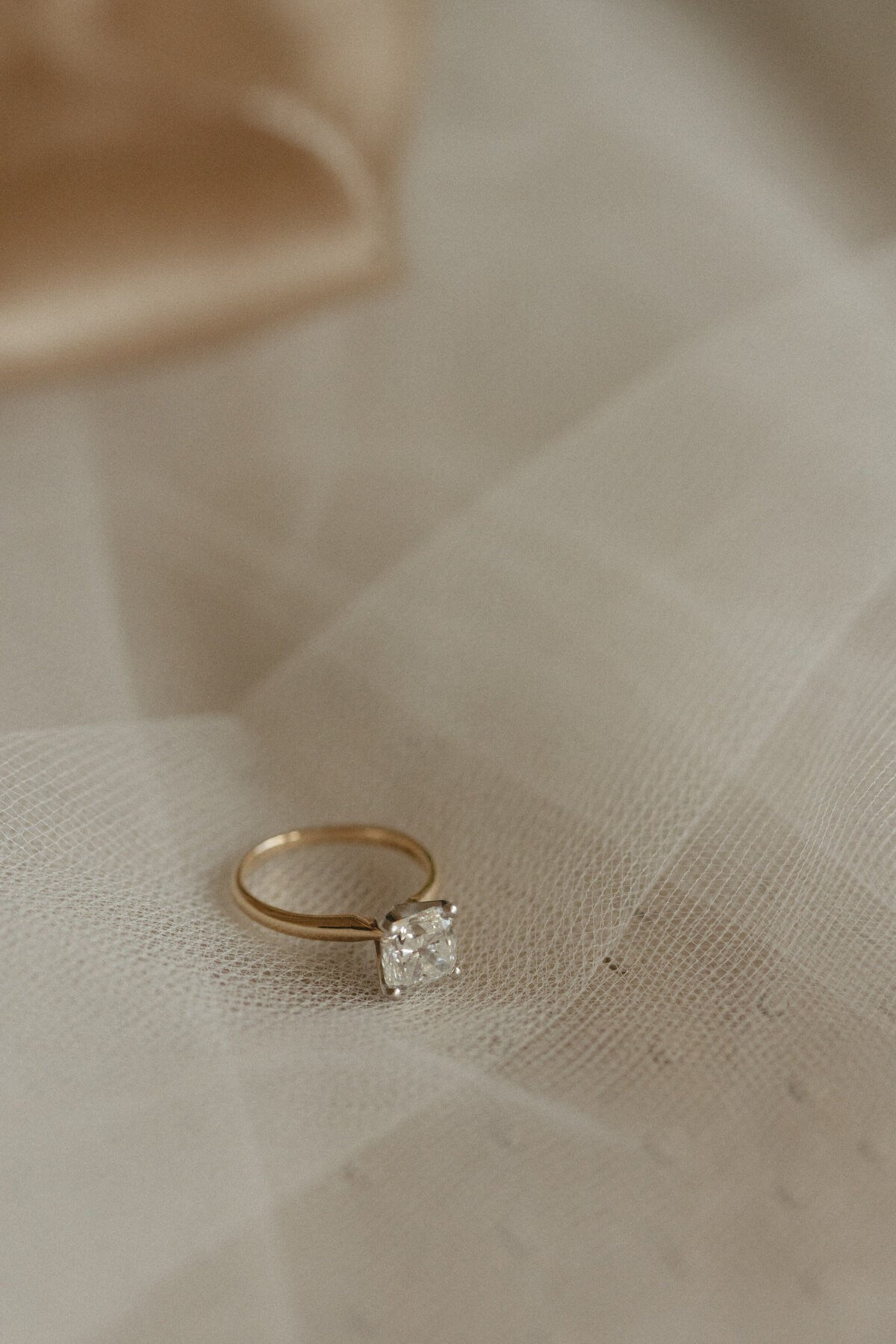 Amelia Island Wedding Planner8483
