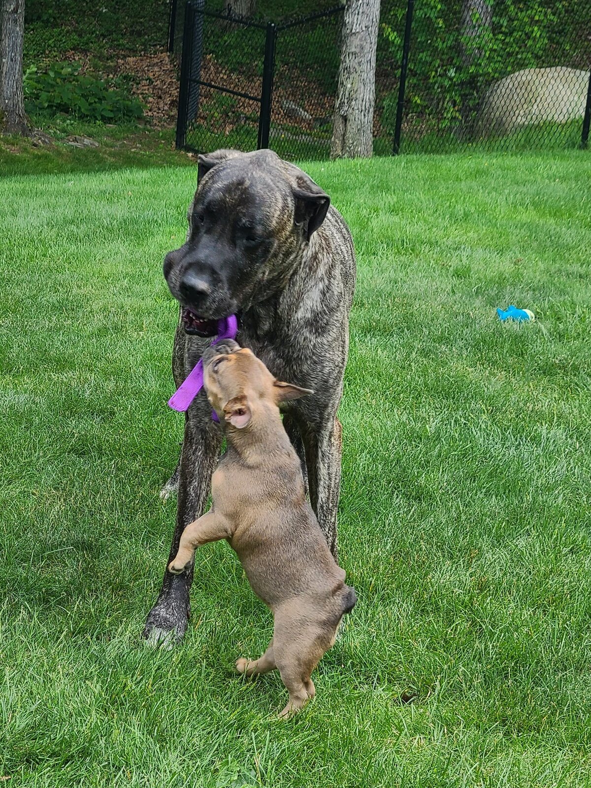 big and small