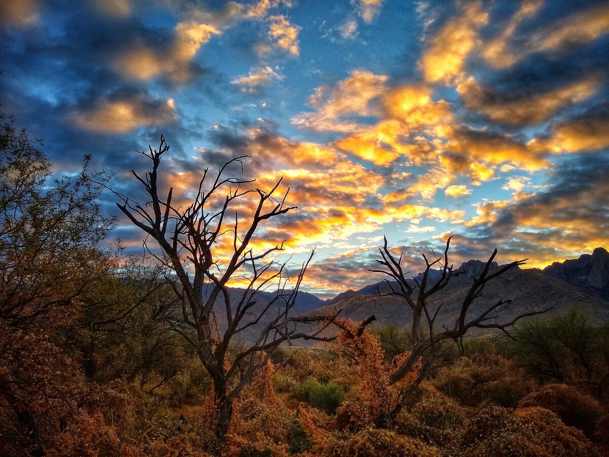WP Colorful Pusch Ridge sunrise_edited