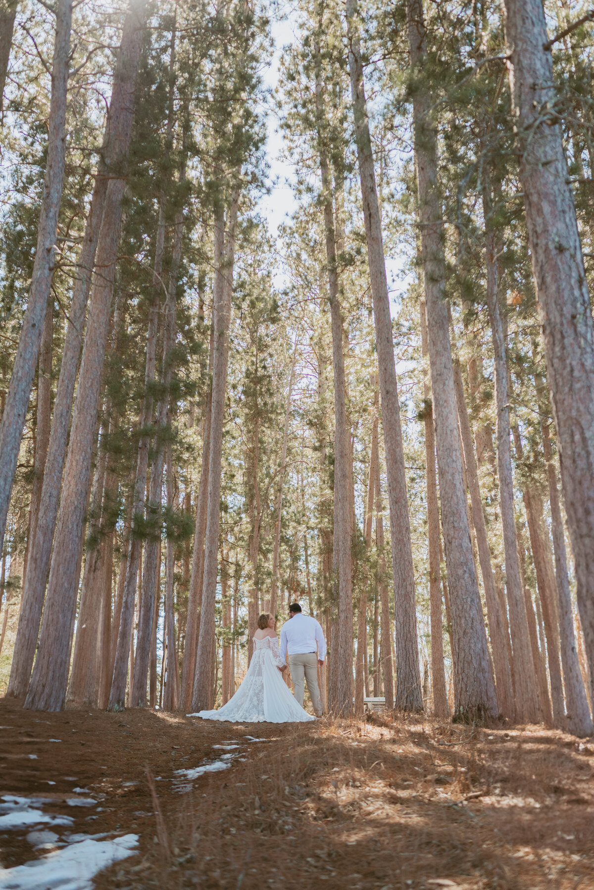 couple stand middle of forest