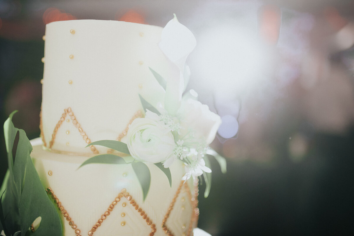 Reception-Arizona-Wedding-Photographer-Iowa_wedding_photographer-Bakyard-wedding-vintage-bride-Alaynna-Ann_Schwartz-Playlife-31