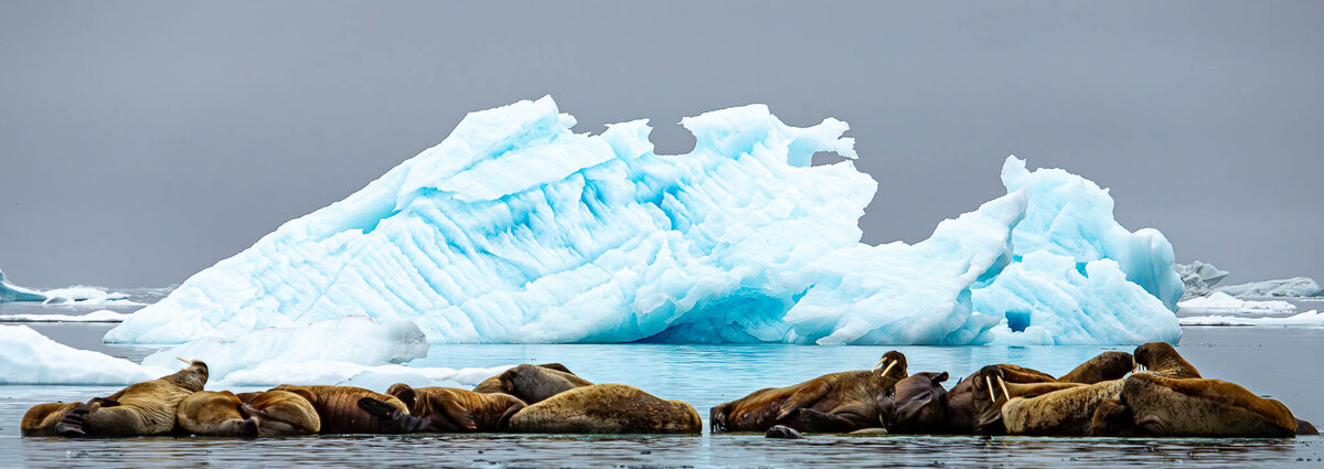 Salty Soul Voyages-33