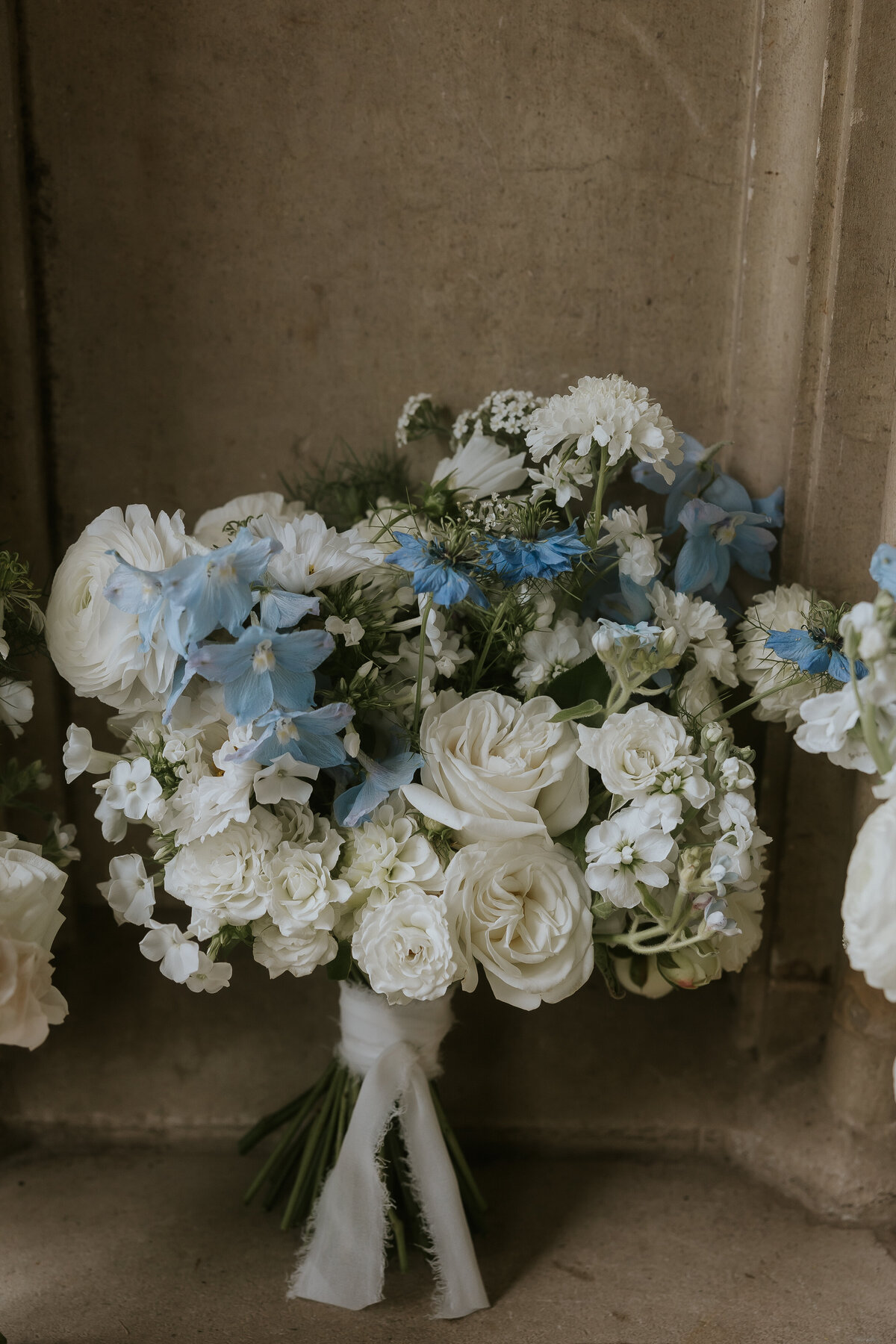 bureaubotany.ashridge-30