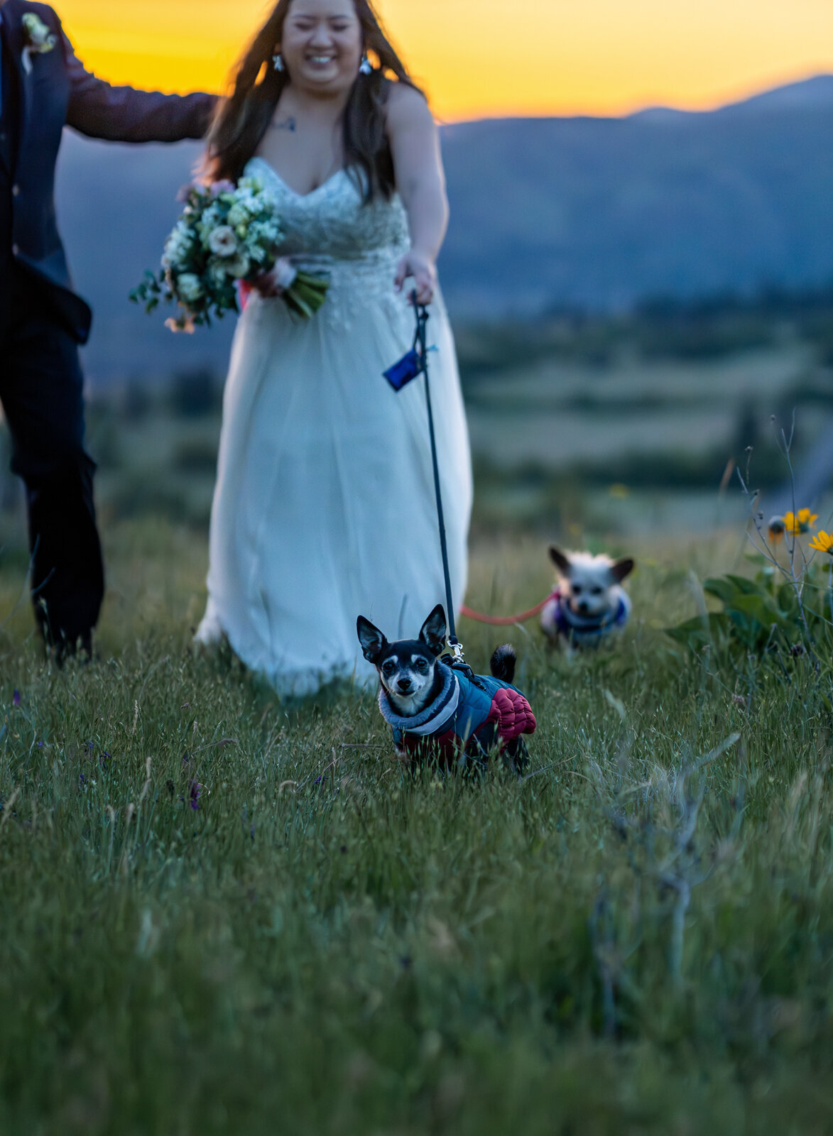Columbia-Gorge-elopement-16