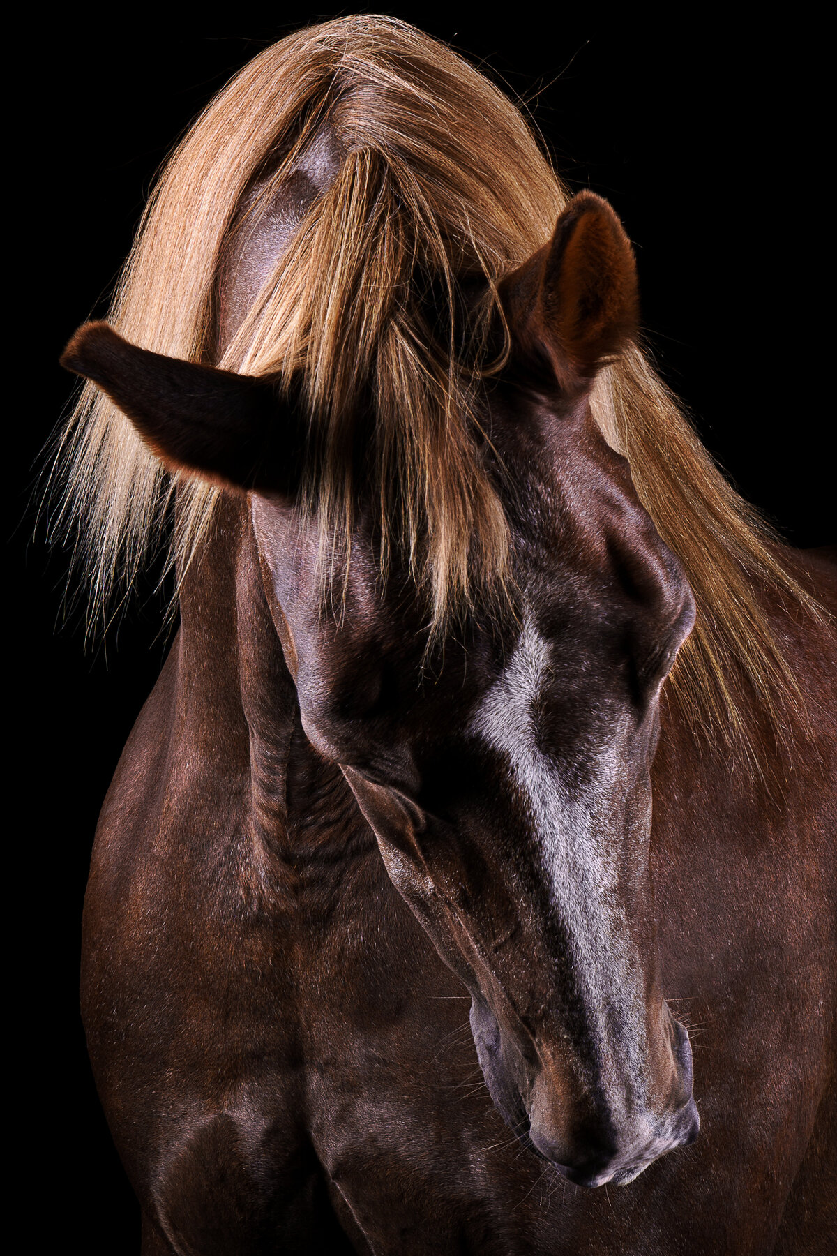 DSC01659-Edit-Edit