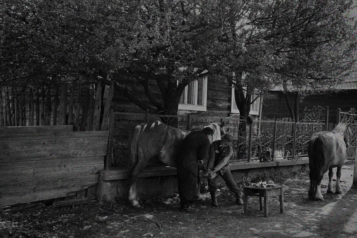 Bart Van der Moeren - Maramures - 021