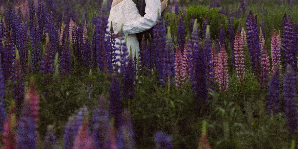 Viewing Lupines in Maine