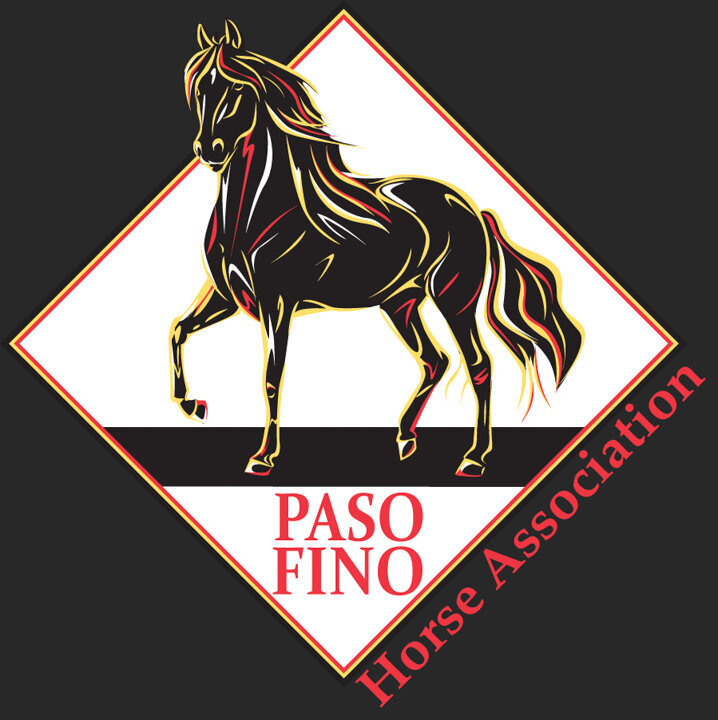 paso fino horse association logo design