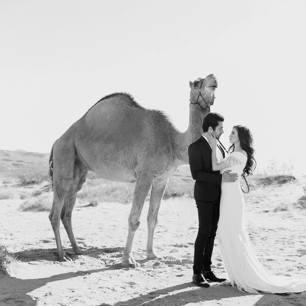 philip-casey-photography-desert-camel-editorial-session-10